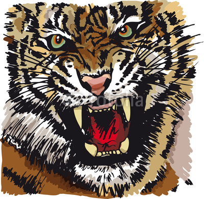 Sketch of tiger. Vector illustration
