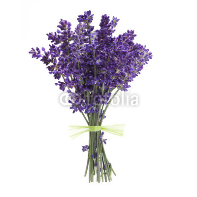Lavendelsträußchen