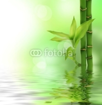 Naklejki Bamboo
