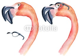 Fototapety watercolor pink flamingo in glasses