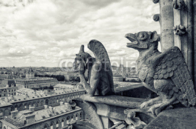 Fototapety view from the Cathedral of Notre Dame in Paris