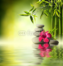 Naklejki Stones, red hibiscus and Bamboo on the water