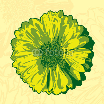 Yellow flower in the abstract background