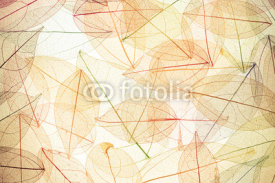 Naklejki Autumn background