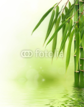 Naklejki Bamboo border or background