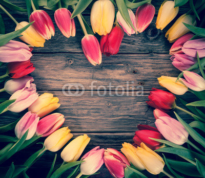 Empty heart-shaped frame of fresh tulips