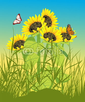 Floral summer card with sunflower