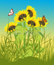 Naklejki Floral summer card with sunflower