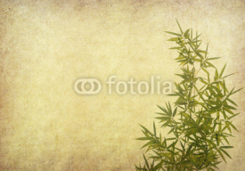 Fototapety bamboo on old grunge paper texture background