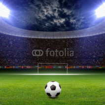 Obrazy i plakaty Soccer stadium