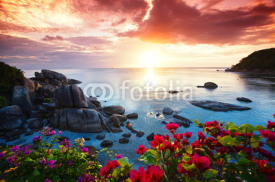 Obrazy i plakaty Tranquil beach resort, beautiful morning glory on the Koh Samui,