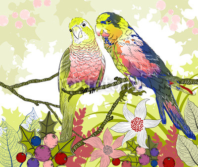 Floral illustration of a pair of budgies