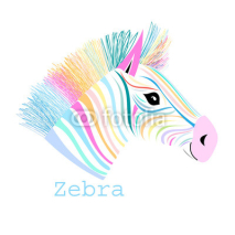 Naklejki colorful portrait zebra