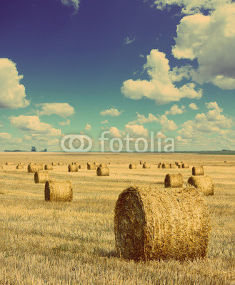 bales of straw in field - vintage retro style