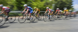 Naklejki peloton of bicycle riders in a race in motion