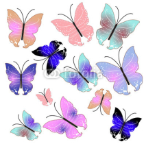 Naklejki Butterflies vector