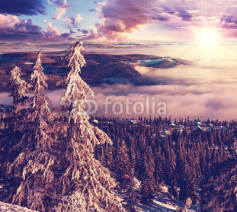 Fototapety Winter in Norway