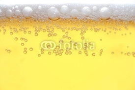 Obrazy i plakaty a close-up of beer...........