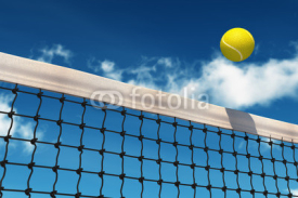Fototapety Tennis Ball over Net