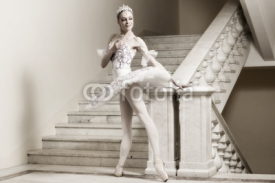 Naklejki Ballerina in ballet pose