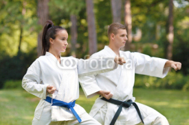 Obrazy i plakaty oman doing Gyaku-tsuki exercise with her instructor