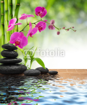 Fototapety composition bamboo-purple orchid-black stones