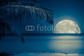 Fototapety Moon reflected on the water of a tropical beach