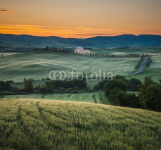 Fototapety sunrise in tuscany, typical tuscan landscape