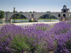 Naklejki Pont d'Avignon