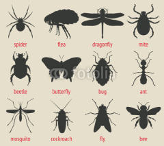 Fototapety insects icons set