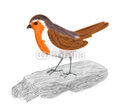 Naklejki Robin bird on the stone vector illustration without gradients