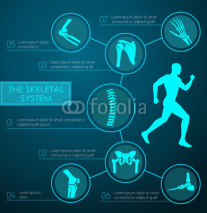 Medical infographic of human skeletal system
