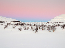 Naklejki winter mountain sunset