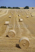 Naklejki Rundballen auf einem Getreidefeld