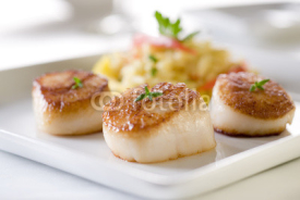 Naklejki Seared sea scallops with orzo and vegetables.