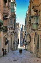 Fototapety long view of maltese street