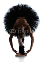 Obrazy i plakaty Female ballet dancer