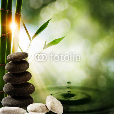 Oriental eco backgrounds with bamboo and water splash