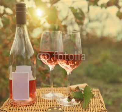 Two glasses and bottle of the rose wine in autumn vineyard.