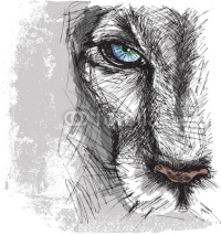 Naklejki Hand drawn Sketch of a lion looking intently at the camera