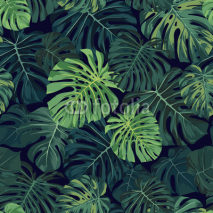 Fototapety Seamless vector tropical pattern with green monstera palm leaves on dark background. Exotic hawaiian fabric design.