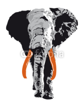 Obrazy i plakaty elefante