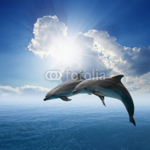 Naklejki Dolphins jumping