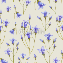 Fototapety Bluebell flower illustration. Watercolor seamless pattern