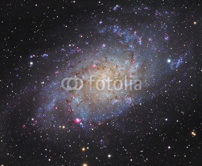 Spiral Galaxy