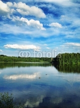 Naklejki  lake landscape with ducks