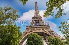 Naklejki Paris. The Eiffel Tower and trees in summer season