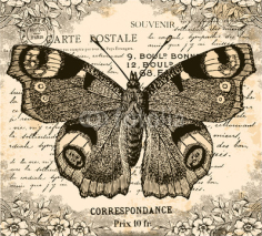 Obrazy i plakaty Vintage Butterfly