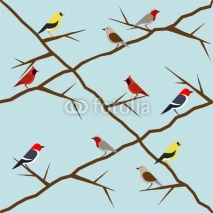 Obrazy i plakaty bird pattern
