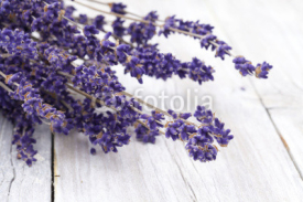 Naklejki Lavendel